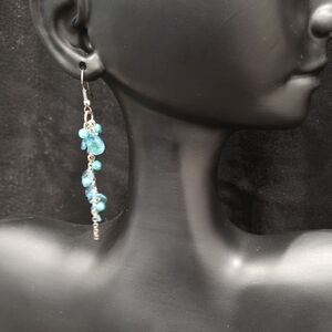 Elegant Blue Dangle Earrings W/ Ladybug Charm